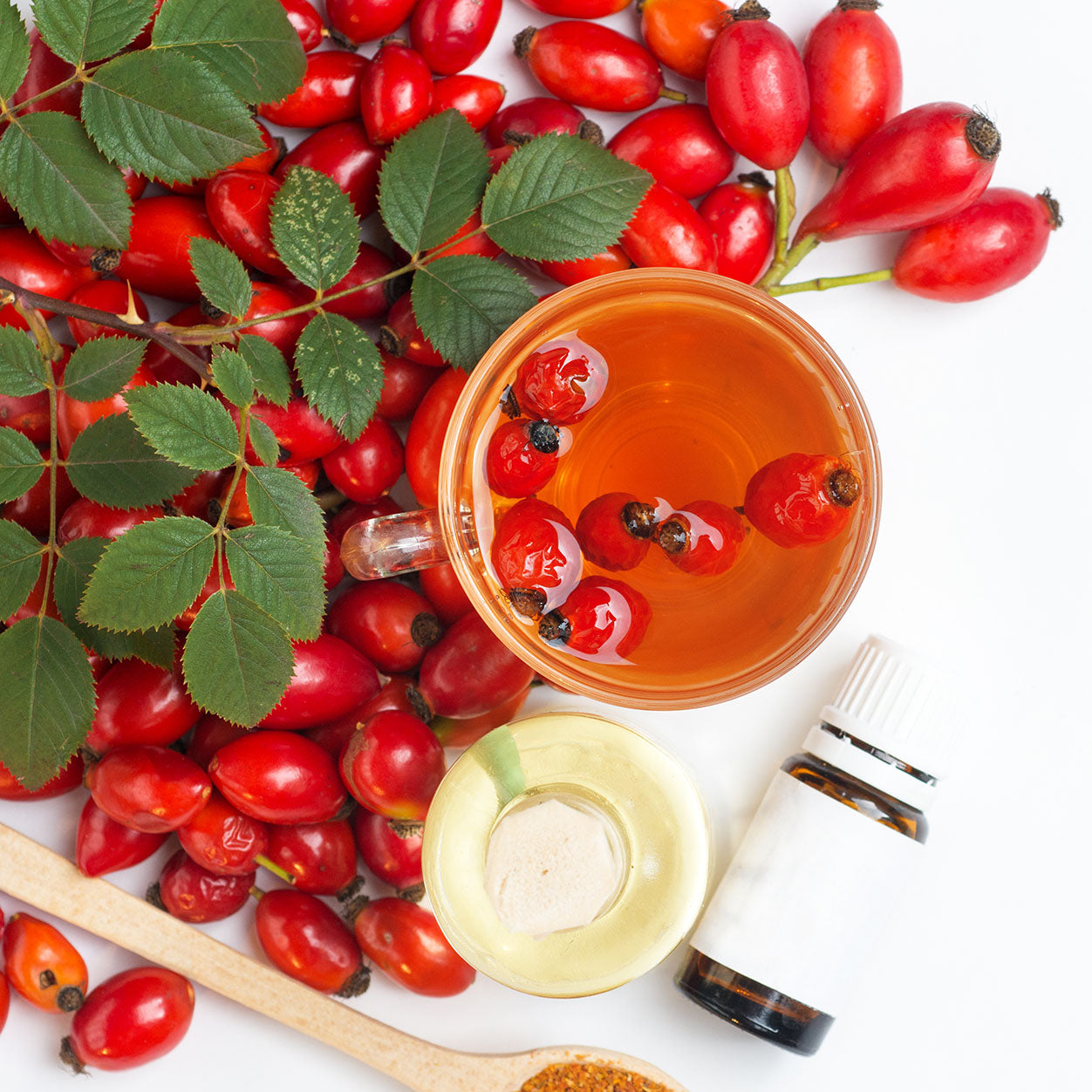Rosehip Shells